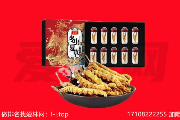 十堰回收虫草.jpg